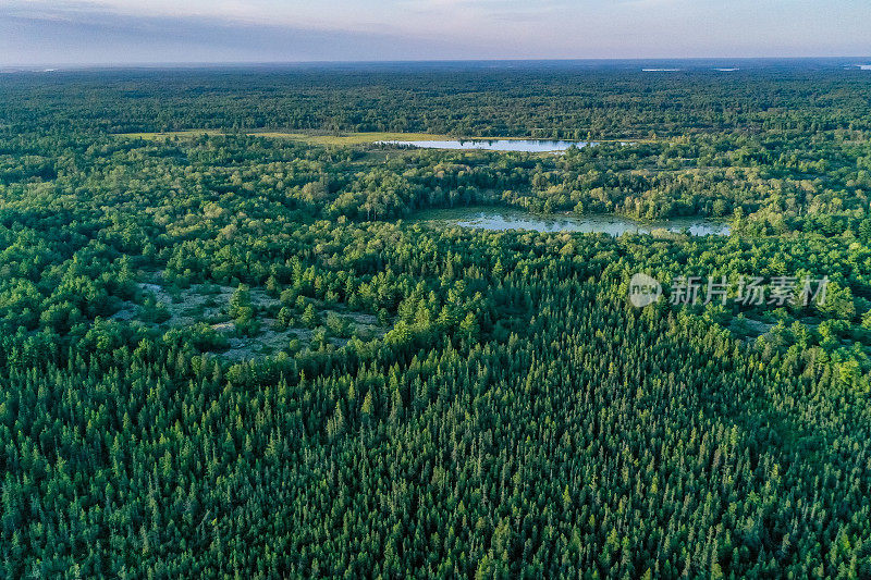 黄昏时的Muskoka Torrance Barrens Dark-Sky保护区，Gravenhurst，加拿大